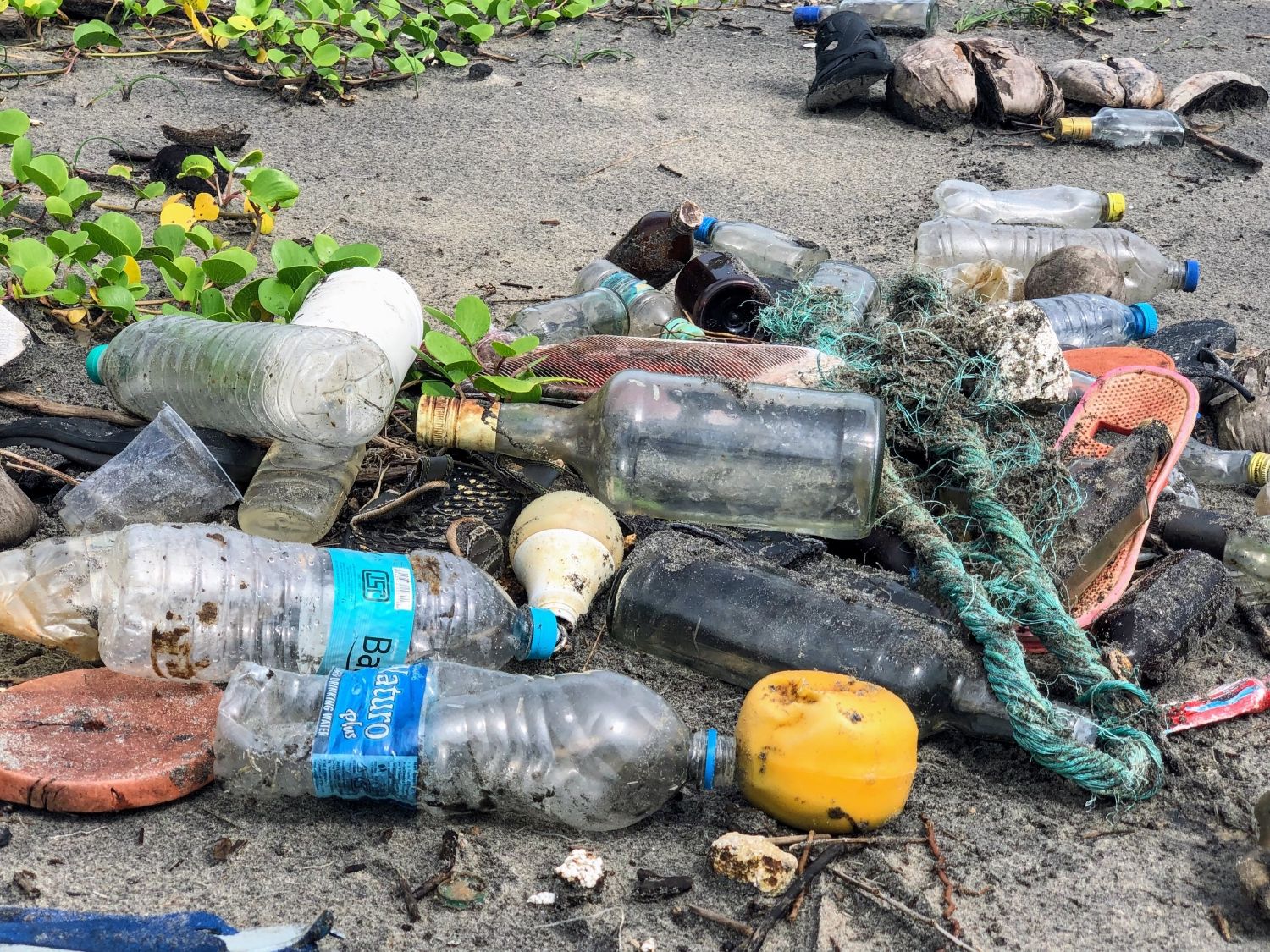 Plastic waste on the beach
